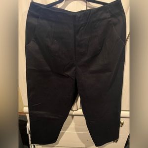 Zara pants